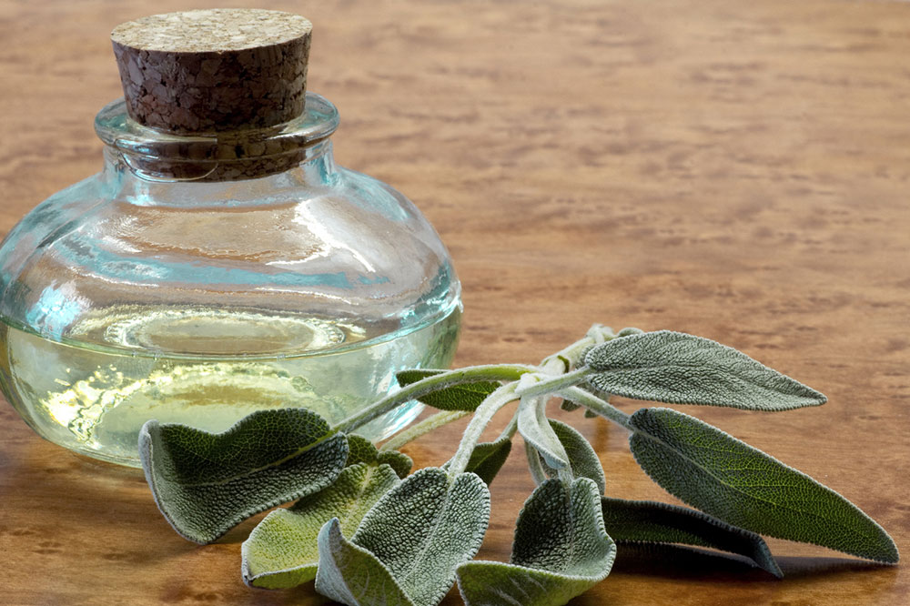 5 Safety Tips for Using Essential Oils Around Pets