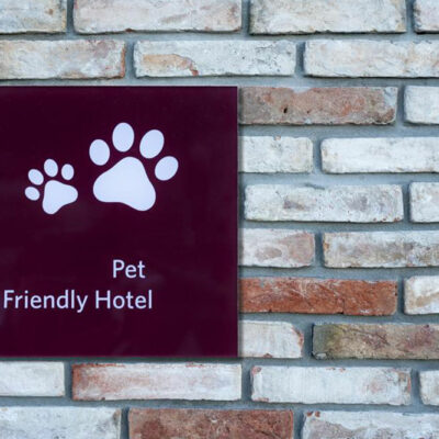 Hotel Etiquette to Follow when Traveling with Pets