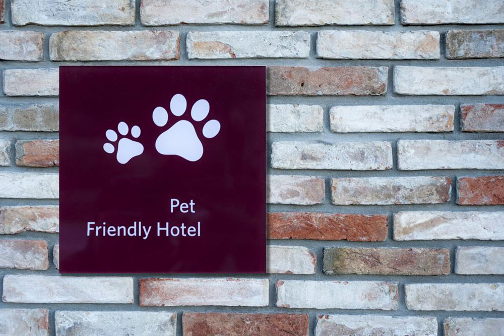 Hotel Etiquette to Follow when Traveling with Pets