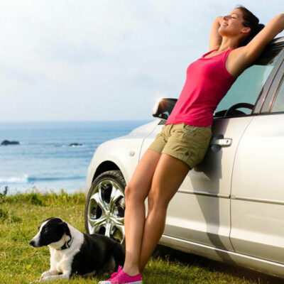 Pet Travel Checklist for Your Next Trip