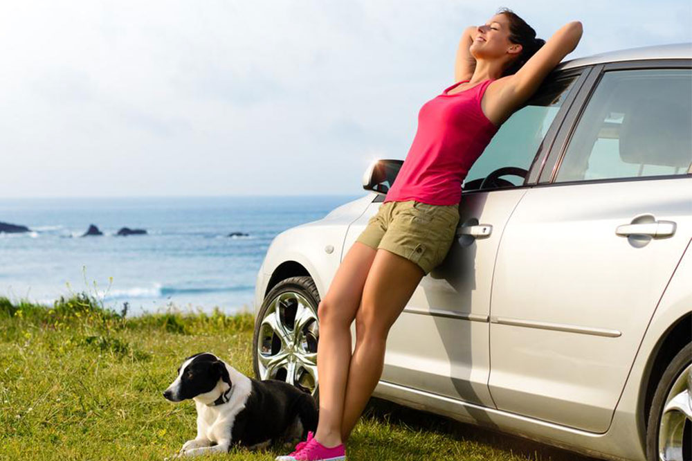 Pet Travel Checklist for Your Next Trip